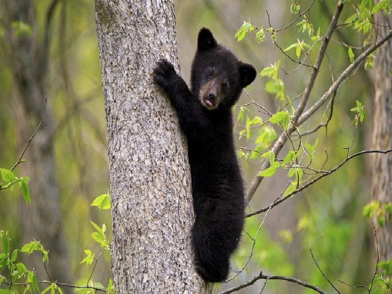 试管吃达夫35,南阳不孕不育医院试管