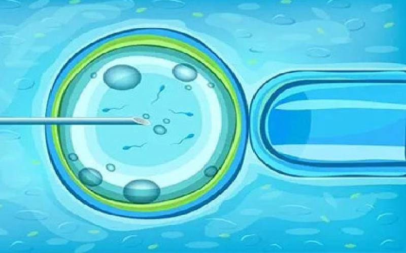 首个试管婴儿代生