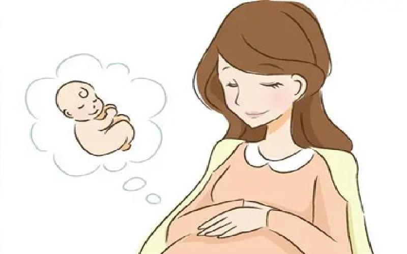 试管要多少万代生